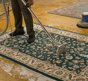 Carpet Cleaning Sayreville,  NJ